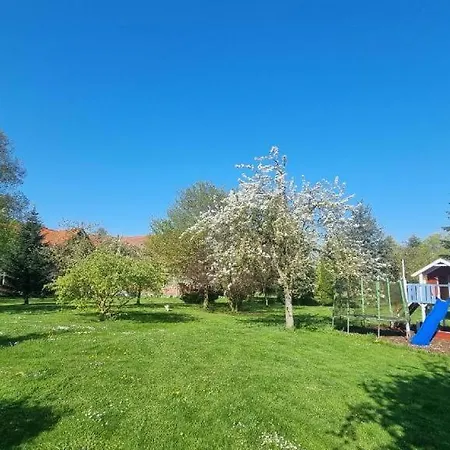 Gutshof Kaemmerich - Storchennest *