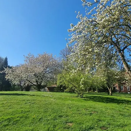 Gutshof Kaemmerich - Storchennest 아파트