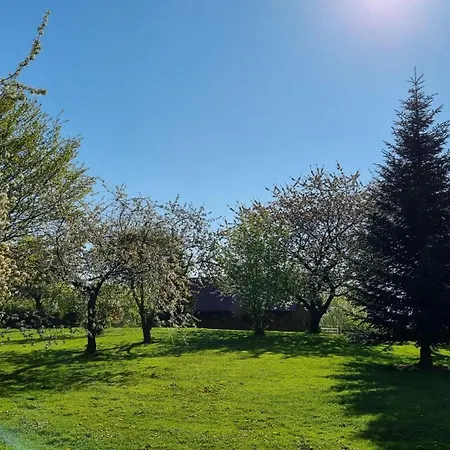 아파트 Gutshof Kaemmerich - Storchennest