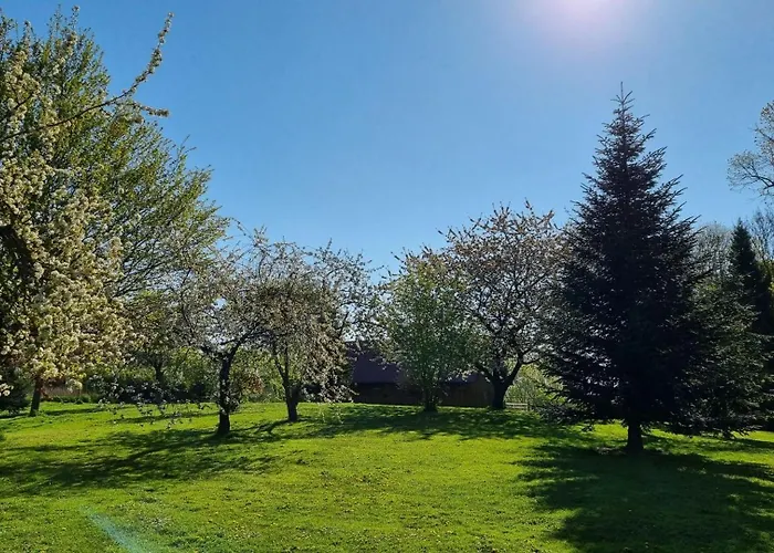 Апартаменты Gutshof Kaemmerich - Storchennest