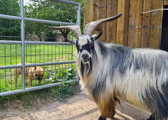 Gutshof Kaemmerich - Storchennest Апартаменты